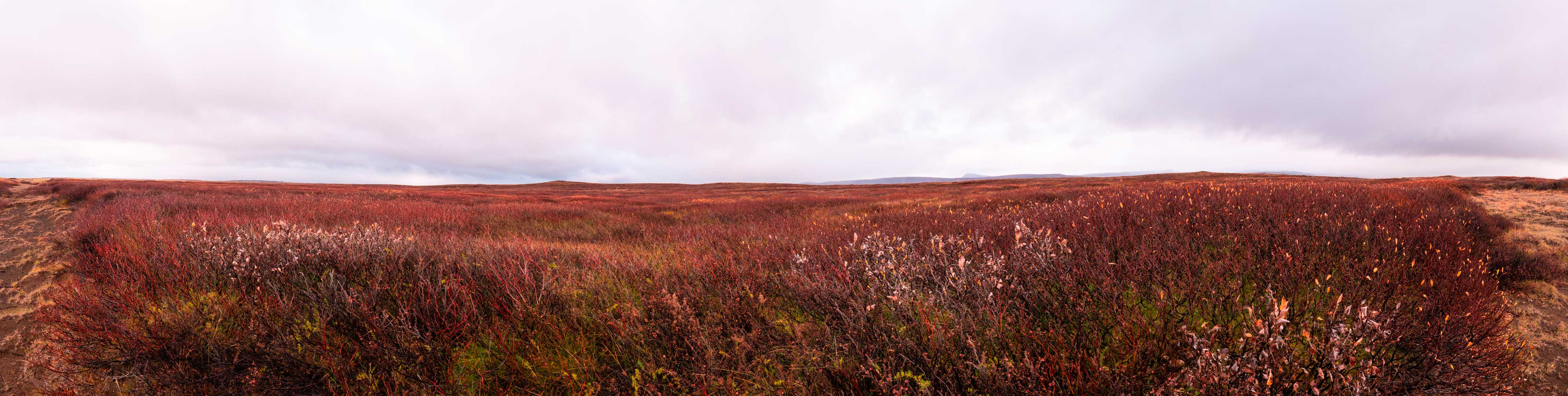 Vallée rouge